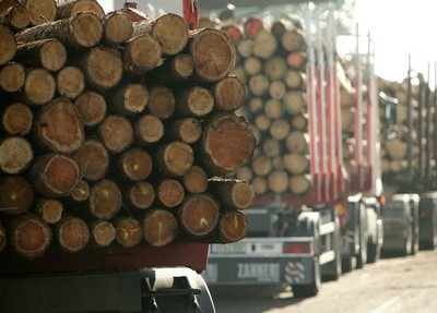 project_holzlogistik